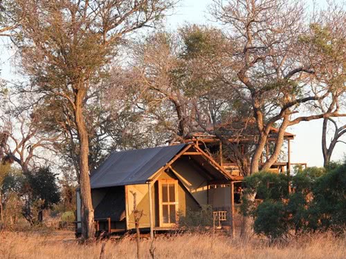 Kleine Hütte zwischen Bäumen im afrikanischen Busch